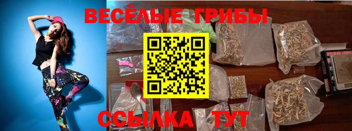Галлюциногенные грибы Magic Shrooms  Вход с VPN  Псилоцибиновые грибы мицелий  Джанкой 