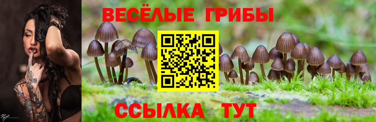 Галлюциногенные грибы MAGIC MUSHROOMS Джанкой